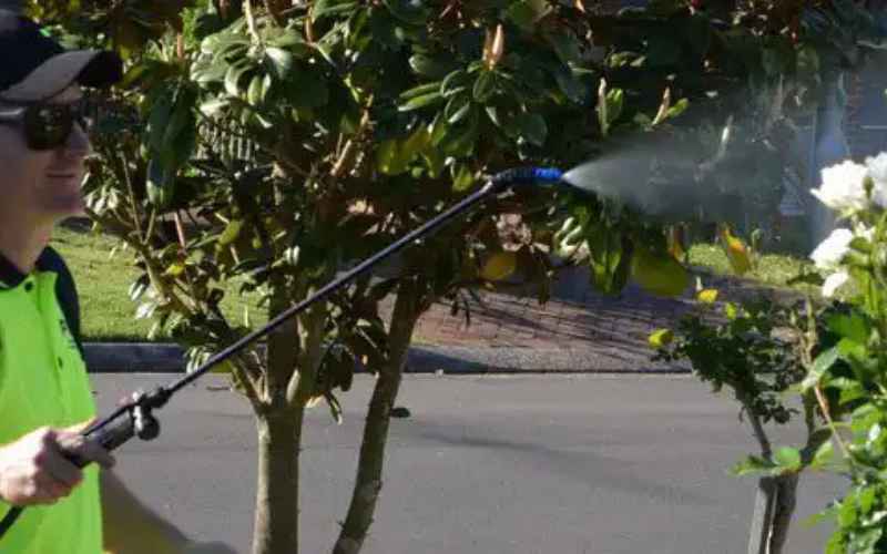 Bug Spraying